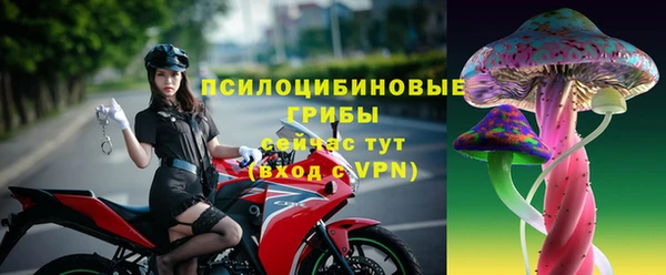 дживик Саяногорск