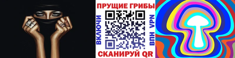 Купить закладки Безенчук Галлюциногенные грибы Psilocybe